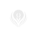 Tribes Wallet Logo